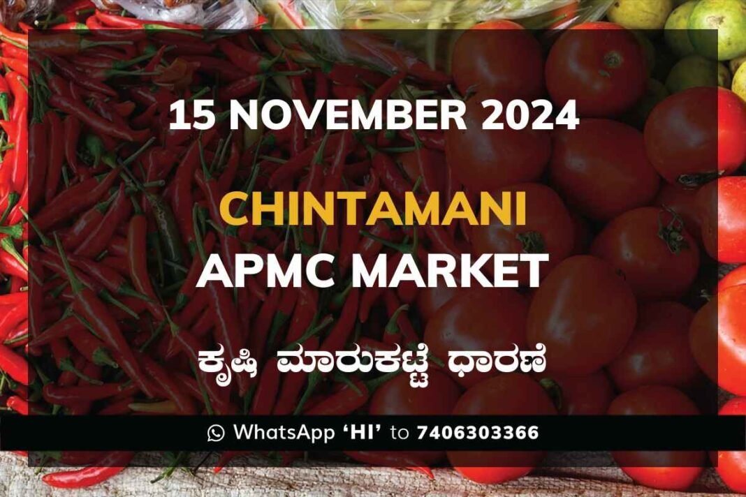 Chintamani APMC Agriculture Market ಚಿಂತಾಮಣಿ ಕೃಷಿ ಮಾರುಕಟ್ಟೆ ಧಾರಣೆ