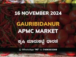 Gauribidanur APMC Agriculture Market ಗೌರಿಬಿದನೂರು ಕೃಷಿ ಮಾರುಕಟ್ಟೆ ಧಾರಣೆ