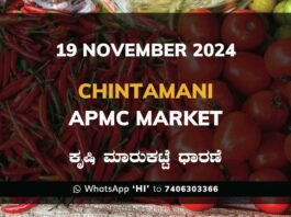 Chintamani APMC Agriculture Market ಚಿಂತಾಮಣಿ ಕೃಷಿ ಮಾರುಕಟ್ಟೆ ಧಾರಣೆ