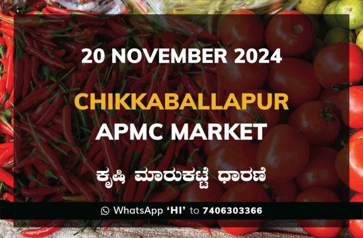 Chikkaballapur APMC Agriculture Market Daily Price Rate List ಚಿಕ್ಕಬಳ್ಳಾಪುರ ಕೃಷಿ ಮಾರುಕಟ್ಟೆ ಧಾರಣೆ