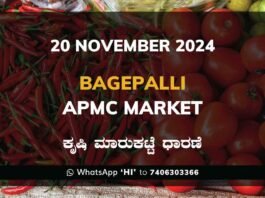 Bagepalli APMC Agriculture Market ಬಾಗೇಪಲ್ಲಿ ಕೃಷಿ ಮಾರುಕಟ್ಟೆ ಧಾರಣೆ