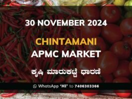 Chintamani APMC Agriculture Market ಚಿಂತಾಮಣಿ ಕೃಷಿ ಮಾರುಕಟ್ಟೆ ಧಾರಣೆ