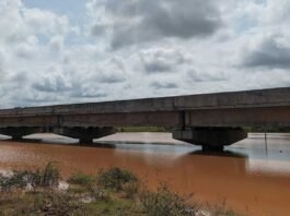 Gauribidanur Uttara Pinakini Bridge