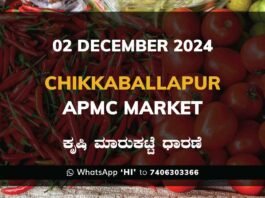 Chikkaballapur APMC Agriculture Market Daily Price Rate List ಚಿಕ್ಕಬಳ್ಳಾಪುರ ಕೃಷಿ ಮಾರುಕಟ್ಟೆ ಧಾರಣೆ