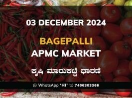 Bagepalli APMC Agriculture Market ಬಾಗೇಪಲ್ಲಿ ಕೃಷಿ ಮಾರುಕಟ್ಟೆ ಧಾರಣೆ