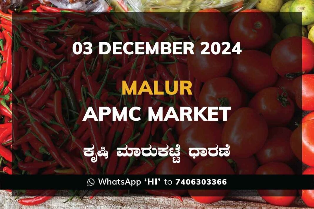 Malur APMC Agriculture Market ಮಾಲೂರು ಕೃಷಿ ಮಾರುಕಟ್ಟೆ ಧಾರಣೆ