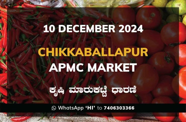 Chikkaballapur APMC Agriculture Market Daily Price Rate List ಚಿಕ್ಕಬಳ್ಳಾಪುರ ಕೃಷಿ ಮಾರುಕಟ್ಟೆ ಧಾರಣೆ