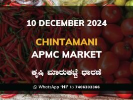 Chintamani APMC Agriculture Market ಚಿಂತಾಮಣಿ ಕೃಷಿ ಮಾರುಕಟ್ಟೆ ಧಾರಣೆ