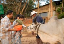 ಜಿಲ್ಲೆಯಾದ್ಯಂತ ಸಂಕ್ರಾಂತಿ ಸುಗ್ಗಿ Sankranti 2025 Isha Foundation Bengaluru