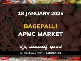 Bagepalli APMC Agriculture Market ಬಾಗೇಪಲ್ಲಿ ಕೃಷಿ ಮಾರುಕಟ್ಟೆ ಧಾರಣೆ