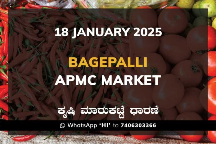 18JanMa Bagepalli APMC Agriculture Market ಬಾಗೇಪಲ್ಲಿ ಕೃಷಿ ಮಾರುಕಟ್ಟೆ ಧಾರಣೆ