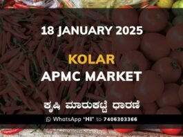 Kolar APMC Agriculture Market Daily Price Report ಕೋಲಾರ ಕೃಷಿ ಮಾರುಕಟ್ಟೆ ಧಾರಣೆ