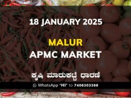 Malur APMC Agriculture Market ಮಾಲೂರು ಕೃಷಿ ಮಾರುಕಟ್ಟೆ ಧಾರಣೆ