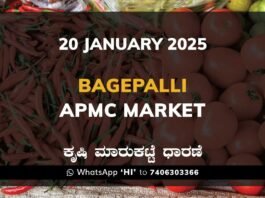 Bagepalli APMC Agriculture Market ಬಾಗೇಪಲ್ಲಿ ಕೃಷಿ ಮಾರುಕಟ್ಟೆ ಧಾರಣೆ