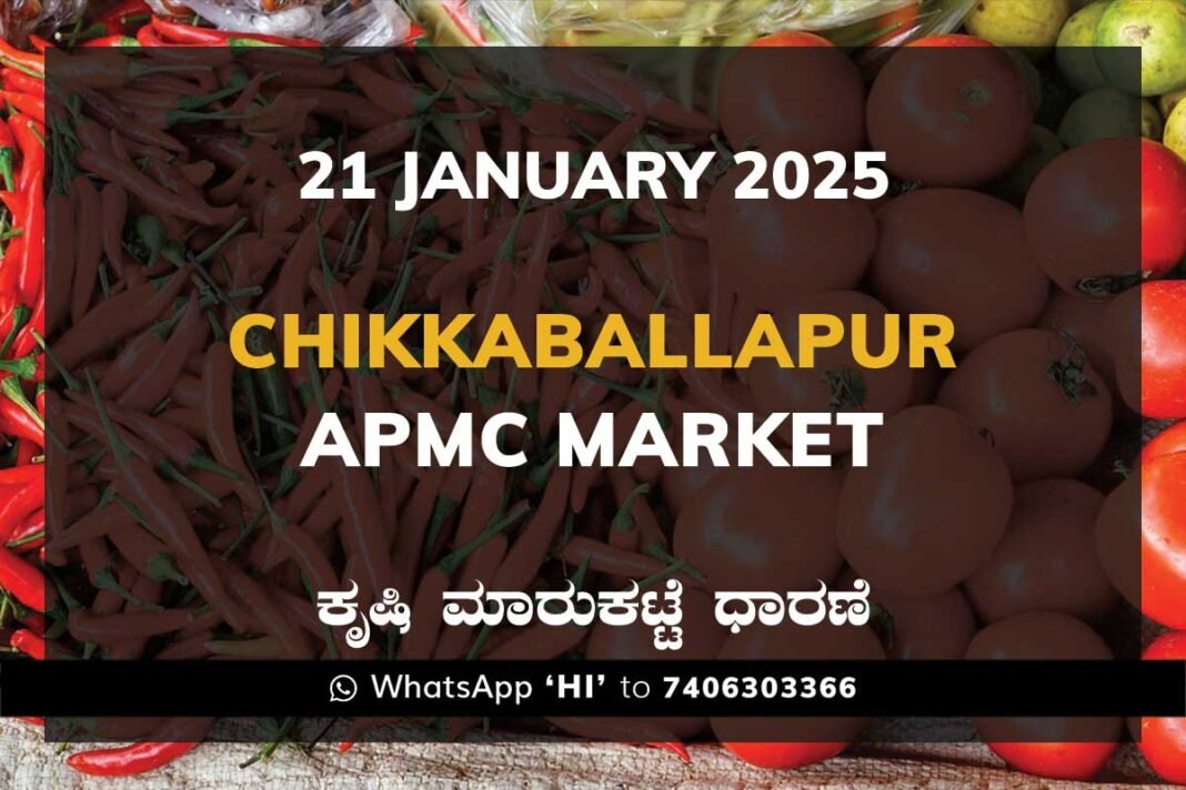 Chikkaballapur APMC Agriculture Market Daily Price Rate List ಚಿಕ್ಕಬಳ್ಳಾಪುರ ಕೃಷಿ ಮಾರುಕಟ್ಟೆ ಧಾರಣೆ