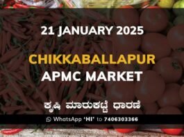 Chikkaballapur APMC Agriculture Market Daily Price Rate List ಚಿಕ್ಕಬಳ್ಳಾಪುರ ಕೃಷಿ ಮಾರುಕಟ್ಟೆ ಧಾರಣೆ