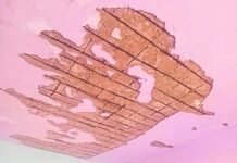 KPS ಶಾಲೆಯ ಚಾವಣಿ ಕುಸಿತ: 40 ವಿದ್ಯಾರ್ಥಿಗಳು ಪಾರು Chelur Karnataka Public School ceiling collapse