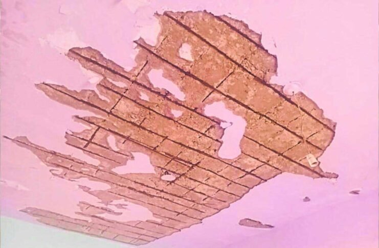 Chelur Karnataka Public School ceiling collapse