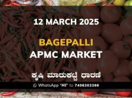 Bagepalli APMC Agriculture Market Daily Price Report ಬಾಗೇಪಲ್ಲಿ ಕೃಷಿ ಮಾರುಕಟ್ಟೆ ಧಾರಣೆ