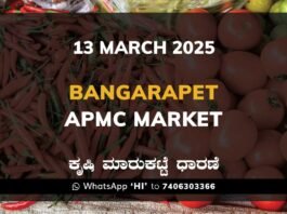 Bangarapet APMC Agriculture Market Daily Price Report ಬಂಗಾರಪೇಟೆ ಕೃಷಿ ಮಾರುಕಟ್ಟೆ ಧಾರಣೆ