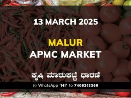 Malur APMC Agriculture Market Daily Price Report ಮಾಲೂರು ಕೃಷಿ ಮಾರುಕಟ್ಟೆ ಧಾರಣೆ