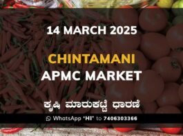 Chintamani APMC Agriculture Market Daily Price Rate List ಚಿಂತಾಮಣಿ ಕೃಷಿ ಮಾರುಕಟ್ಟೆ ಧಾರಣೆ