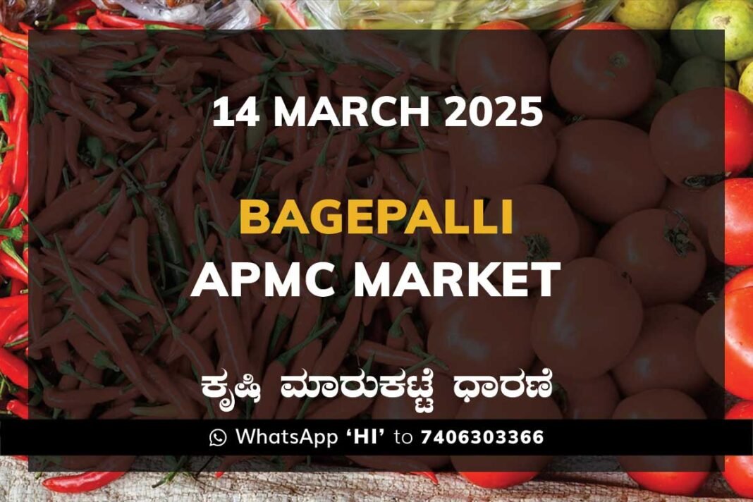 Bagepalli APMC Agriculture Market Daily Price Report ಬಾಗೇಪಲ್ಲಿ ಕೃಷಿ ಮಾರುಕಟ್ಟೆ ಧಾರಣೆ