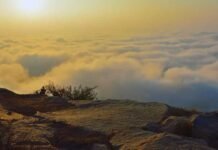 ನಂದಿಗಿರಿಧಾಮಕ್ಕೆ ವಾರದ ದಿನಗಳಲ್ಲಿ ಪ್ರವೇಶಕ್ಕೆ ನಿರ್ಬಂಧ Chikkaballapur nandihills entry restriction March 24 to April 25