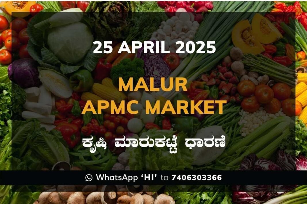 Malur APMC Market ಮಾಲೂರು ಕೃಷಿ ಮಾರುಕಟ್ಟೆ ಧಾರಣೆ