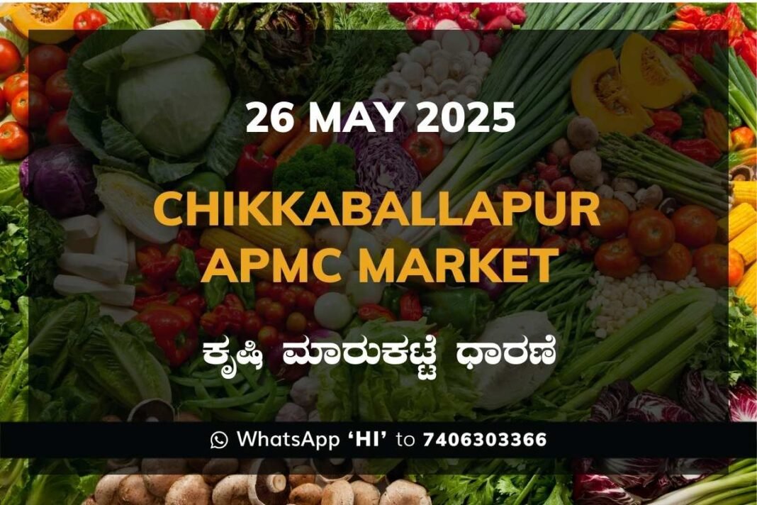 Chikkaballapur APMC Agriculture Market Daily Price Report ಚಿಕ್ಕಬಳ್ಳಾಪುರ ಕೃಷಿ ಮಾರುಕಟ್ಟೆ ಧಾರಣೆ