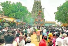 ಗಡಿದಂ ಶ್ರೀ ಲಕ್ಷ್ಮಿವೆಂಕಟರಮಣಸ್ವಾಮಿ ರಥೋತ್ಸವ Bagepalli Gadidam Narasimhaswamy Rathotsava