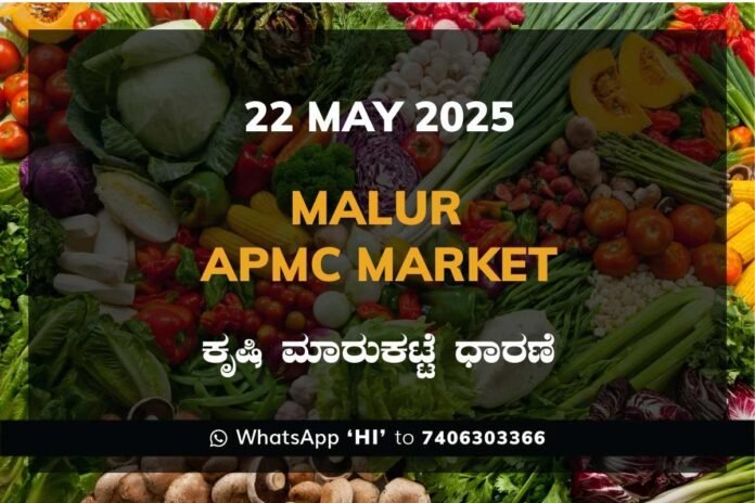 Malur APMC Market ಮಾಲೂರು ಕೃಷಿ ಮಾರುಕಟ್ಟೆ ಧಾರಣೆ