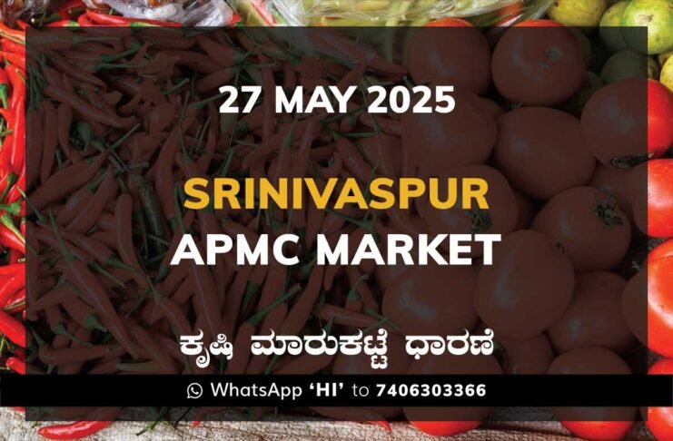 Srinivaspur APMC Agriculture Market Daily Price Report ಶ್ರೀನಿವಾಸಪುರ ಕೃಷಿ ಮಾರುಕಟ್ಟೆ ಧಾರಣೆ