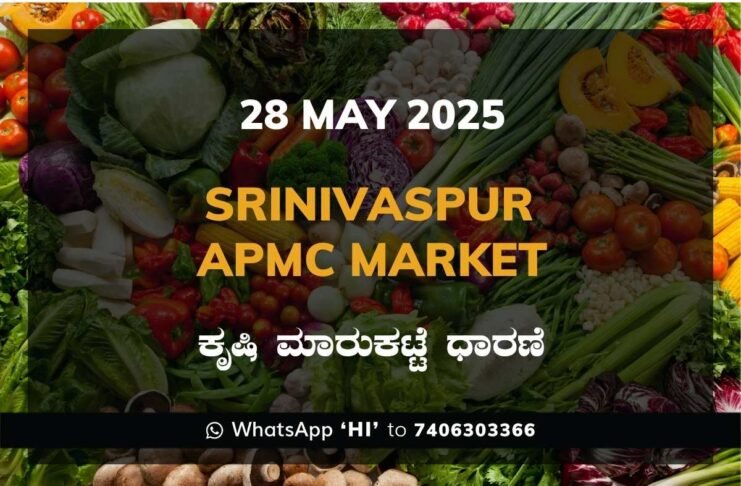 Srinivaspur APMC Agriculture Market Daily Price Report ಶ್ರೀನಿವಾಸಪುರ ಕೃಷಿ ಮಾರುಕಟ್ಟೆ ಧಾರಣೆ