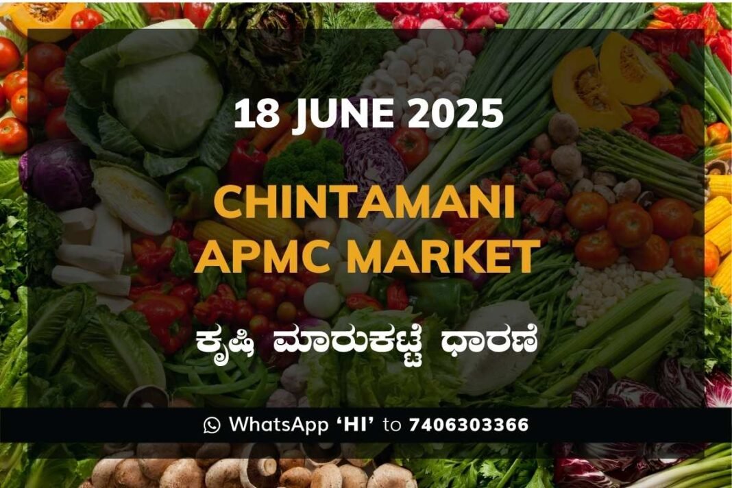 Chintamani APMC Agriculture Market Daily Price Rate List ಚಿಂತಾಮಣಿ ಕೃಷಿ ಮಾರುಕಟ್ಟೆ ಧಾರಣೆ