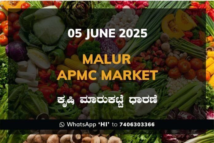 Malur APMC Market ಮಾಲೂರು ಕೃಷಿ ಮಾರುಕಟ್ಟೆ ಧಾರಣೆ