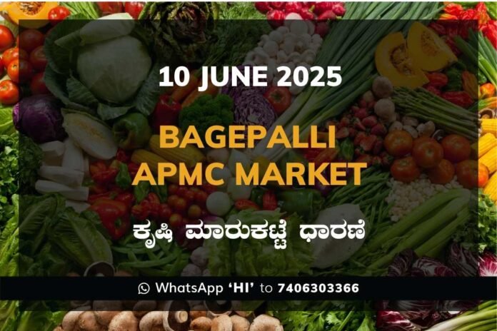 Bagepalli APMC Agriculture Market Daily Price Report ಬಾಗೇಪಲ್ಲಿ ಕೃಷಿ ಮಾರುಕಟ್ಟೆ ಧಾರಣೆ