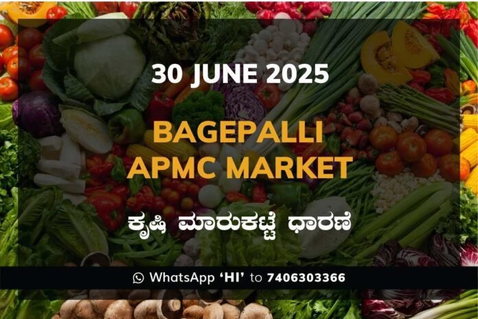 Bagepalli APMC Agriculture Market Daily Price Report ಬಾಗೇಪಲ್ಲಿ ಕೃಷಿ ಮಾರುಕಟ್ಟೆ ಧಾರಣೆ