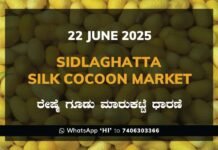 Sidlaghatta Silk Cocoon Market-22/06/2025