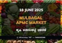 Mulbagal APMC Market: 18 June 2025 Mulbagal APMC Agriculture Market Daily Price Report ಮುಳಬಾಗಿಲು ಕೃಷಿ ಮಾರುಕಟ್ಟೆ ಧಾರಣೆ