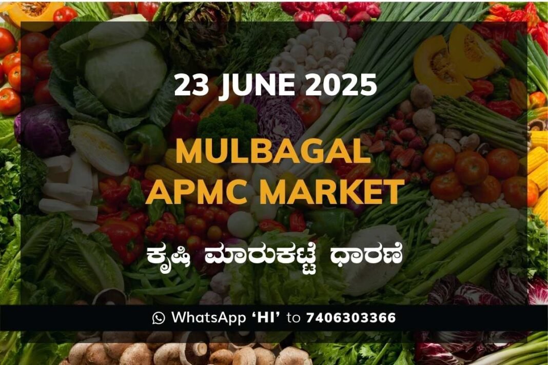Mulbagal APMC Agriculture Market Daily Price Report ಮುಳಬಾಗಿಲು ಕೃಷಿ ಮಾರುಕಟ್ಟೆ ಧಾರಣೆ