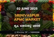 Srinivaspur APMC Market: 02 June 2025 Srinivaspur APMC Agriculture Market Daily Price Report ಶ್ರೀನಿವಾಸಪುರ ಕೃಷಿ ಮಾರುಕಟ್ಟೆ ಧಾರಣೆ