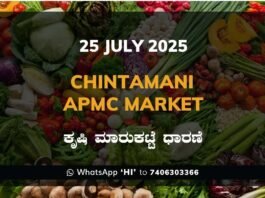 Chintamani APMC Agriculture Market Daily Price Rate List ಚಿಂತಾಮಣಿ ಕೃಷಿ ಮಾರುಕಟ್ಟೆ ಧಾರಣೆ