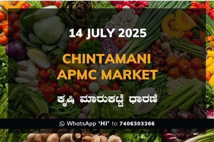 Chintamani APMC Agriculture Market Daily Price Rate List ಚಿಂತಾಮಣಿ ಕೃಷಿ ಮಾರುಕಟ್ಟೆ ಧಾರಣೆ