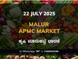 Malur APMC Market ಮಾಲೂರು ಕೃಷಿ ಮಾರುಕಟ್ಟೆ ಧಾರಣೆ