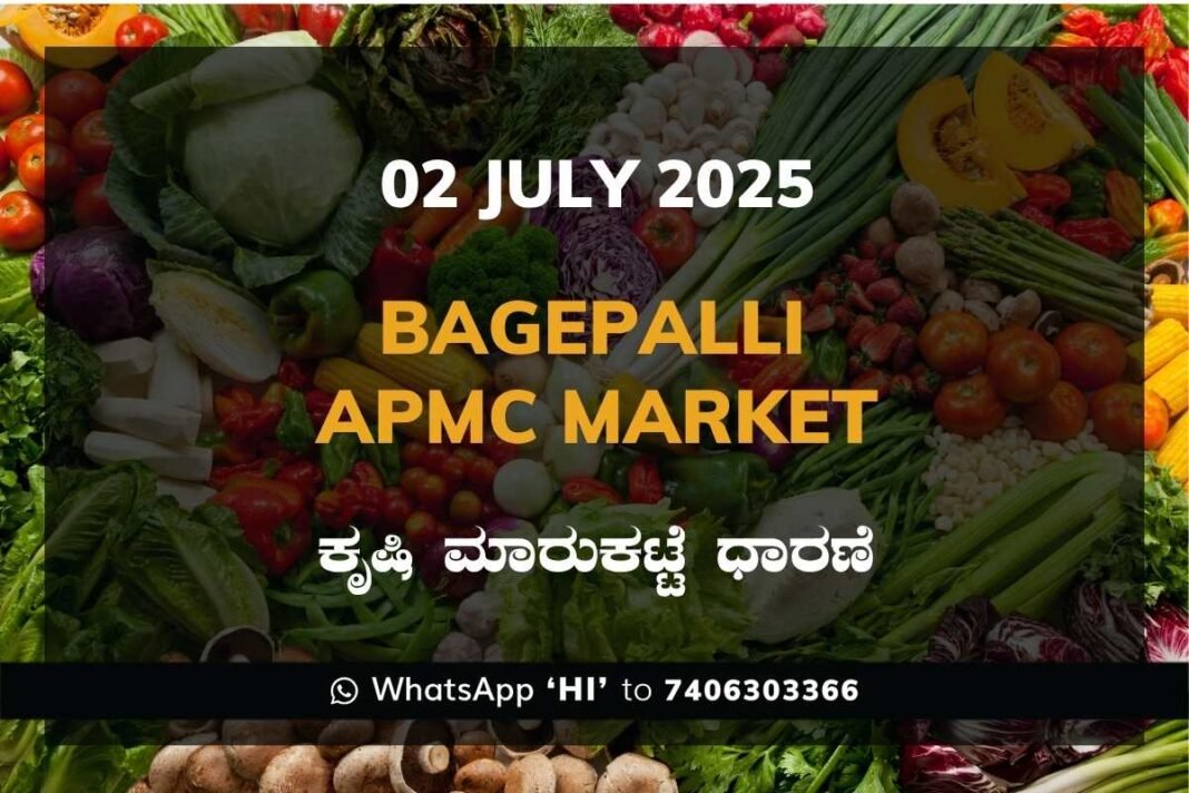 Bagepalli APMC Agriculture Market Daily Price Report ಬಾಗೇಪಲ್ಲಿ ಕೃಷಿ ಮಾರುಕಟ್ಟೆ ಧಾರಣೆ