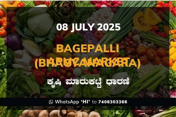Bagepalli Bhagyanagara APMC Agriculture Market Daily Price Report ಬಾಗೇಪಲ್ಲಿ ಭಾಗ್ಯನಗರ ಕೃಷಿ ಮಾರುಕಟ್ಟೆ ಧಾರಣೆ