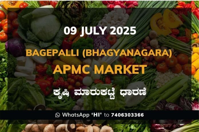 Bagepalli Bhagyanagara APMC Agriculture Market Daily Price Report ಬಾಗೇಪಲ್ಲಿ ಭಾಗ್ಯನಗರ ಕೃಷಿ ಮಾರುಕಟ್ಟೆ ಧಾರಣೆ
