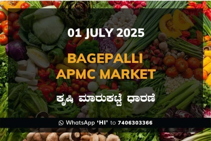 Bagepalli APMC Agriculture Market Daily Price Report ಬಾಗೇಪಲ್ಲಿ ಕೃಷಿ ಮಾರುಕಟ್ಟೆ ಧಾರಣೆ