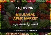 Mulbagal APMC Market: 14 July 2025 Mulbagal APMC Agriculture Market Daily Price Report ಮುಳಬಾಗಿಲು ಕೃಷಿ ಮಾರುಕಟ್ಟೆ ಧಾರಣೆ